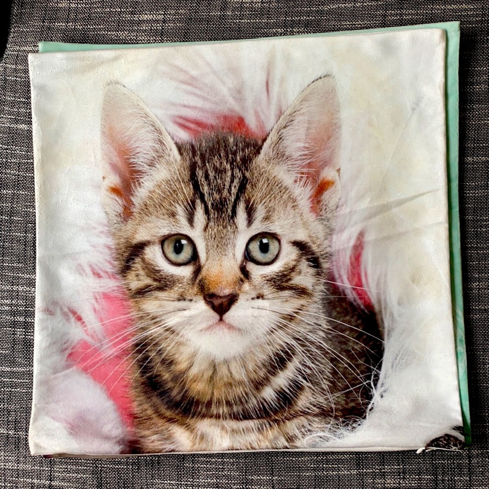 Cat Lady Gift Bundle - 3x Cushion covers - Picture 2 of 5
